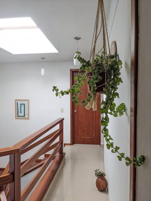 Casa Mua Hotel San Cristóbal de Las Casas Exterior foto