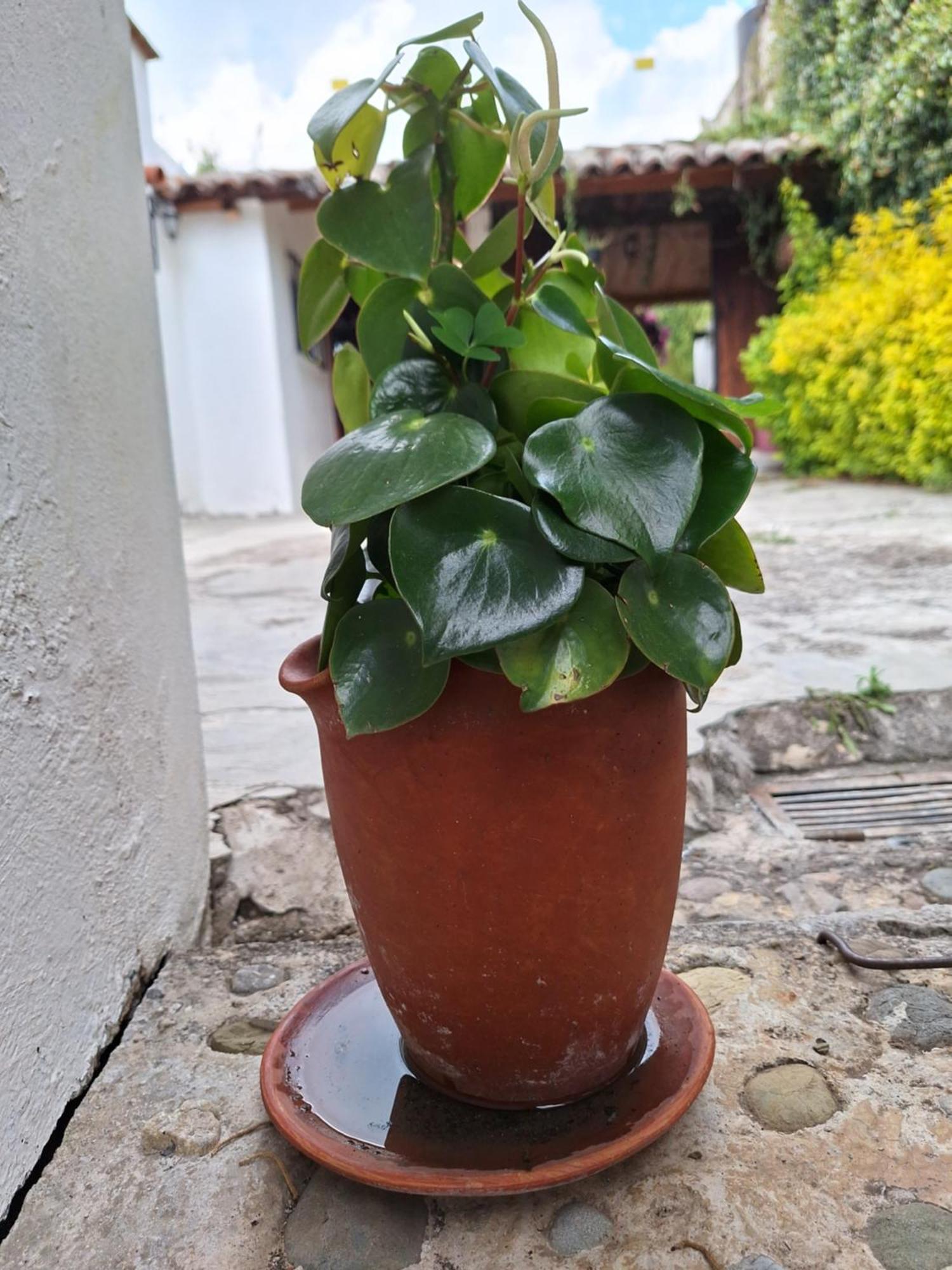 Casa Mua Hotel San Cristóbal de Las Casas Quarto foto